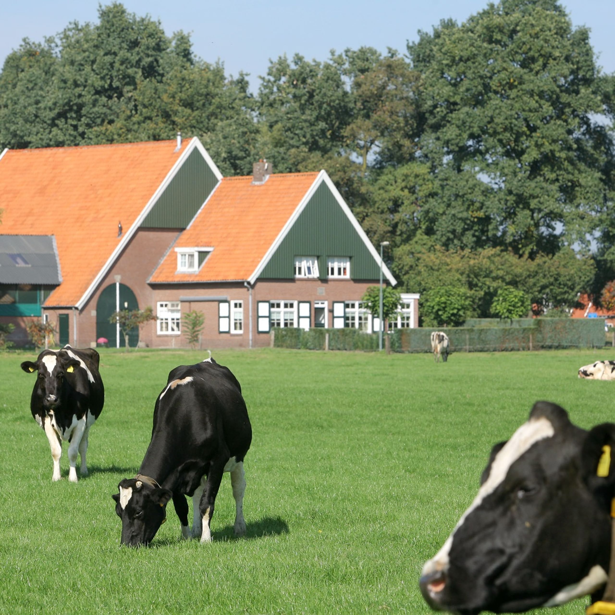 “Waar doe ik op dit moment goed aan in de agrarische sector?”