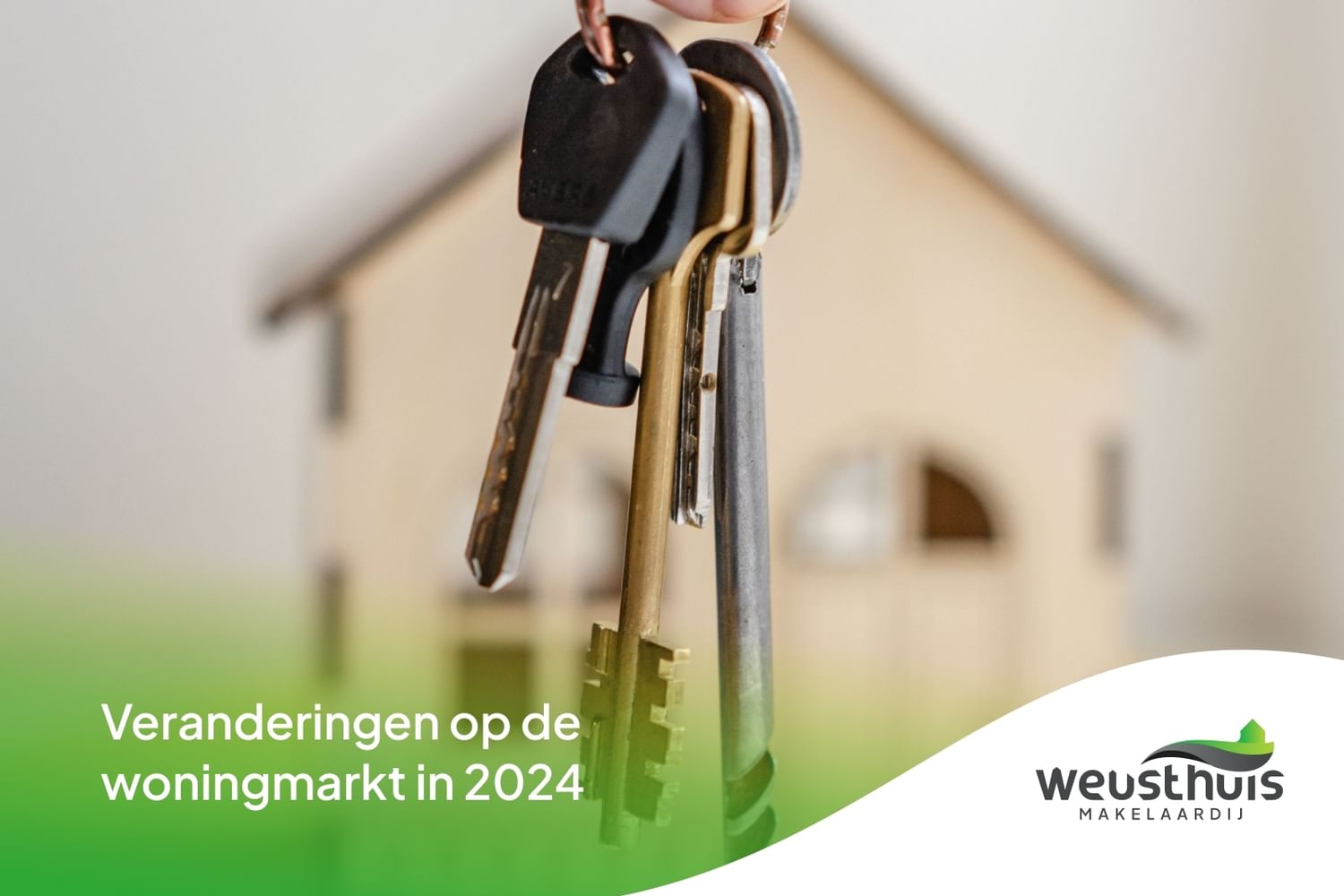 Blog 2024 01 16 135721 lxwq