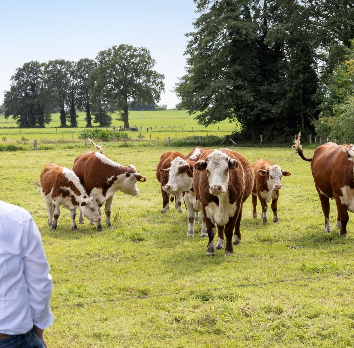 <strong>Weusthuis </strong><br />
Jouw agrarisch makelaar <br />
<strong>dicht bij</strong> huis