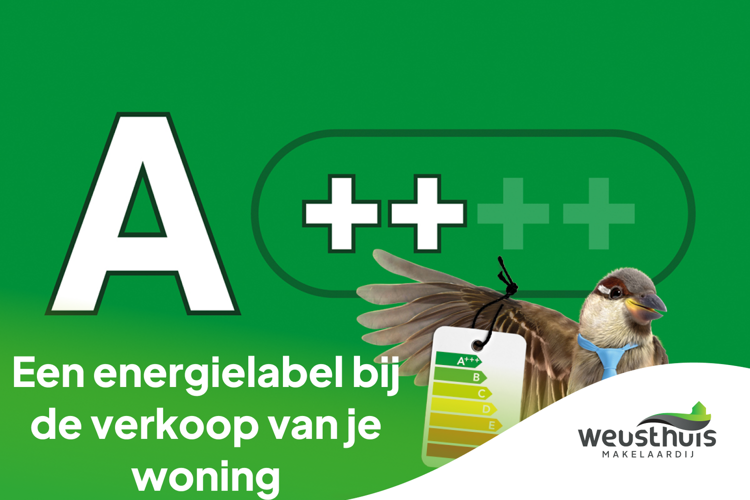 Vacature 2
